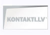 Scandinavian Innovation Group